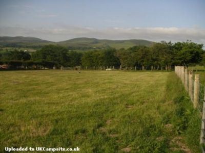 Plas Bedw Camping