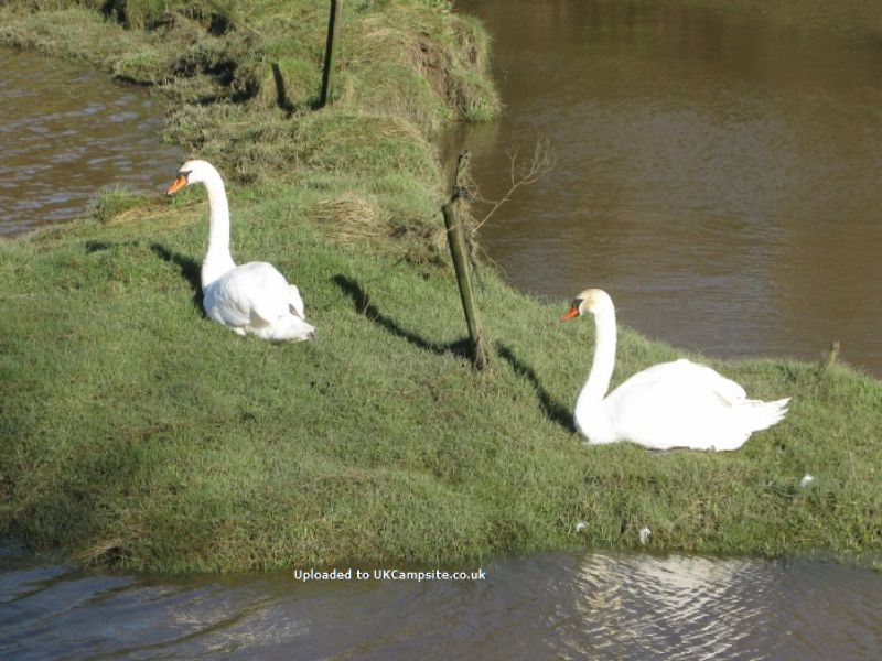 Milton Bridge Caravan Park