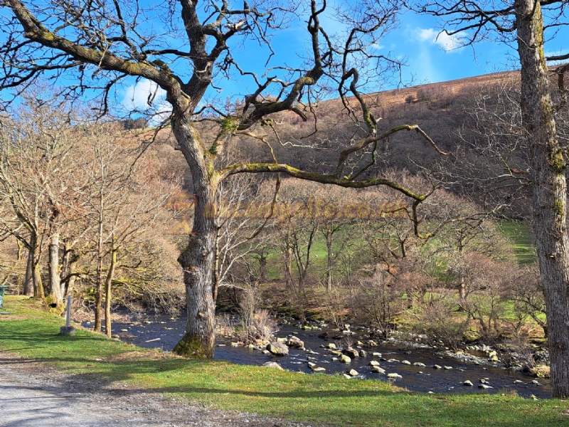 Elan Oaks Caravan And Campsite