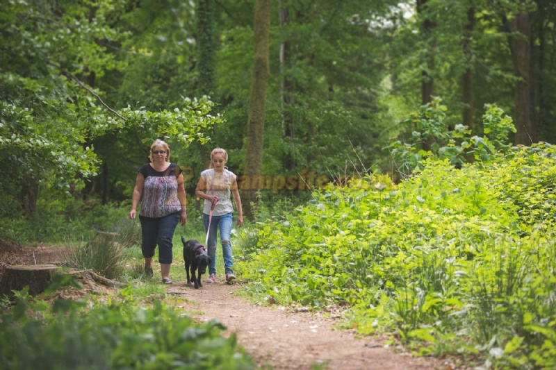 Forest Glade Holiday Park