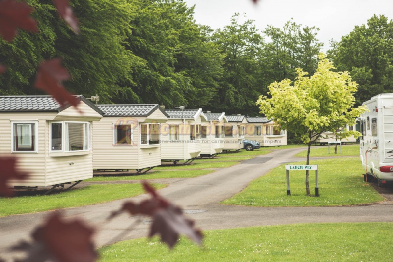 Forest Glade Holiday Park