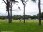 Warren House Caravan And Campsite