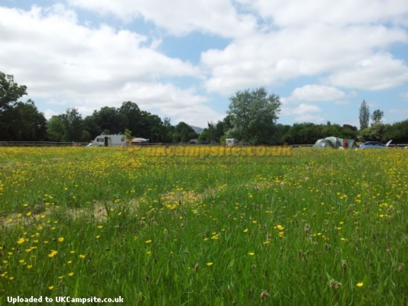 Newland Meadows Camping And Caravan Park