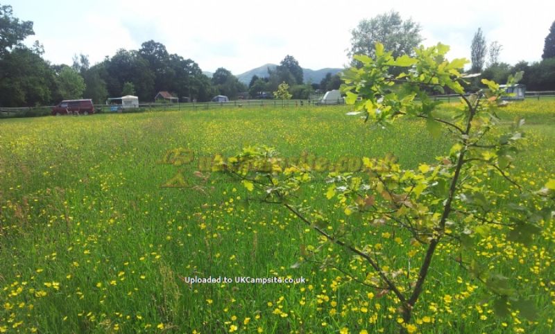 Newland Meadows Camping And Caravan Park