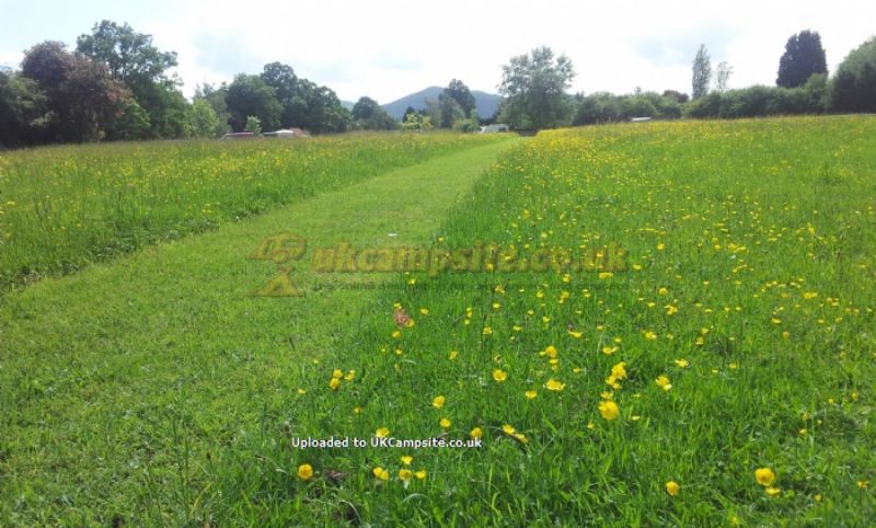 Newland Meadows Camping And Caravan Park