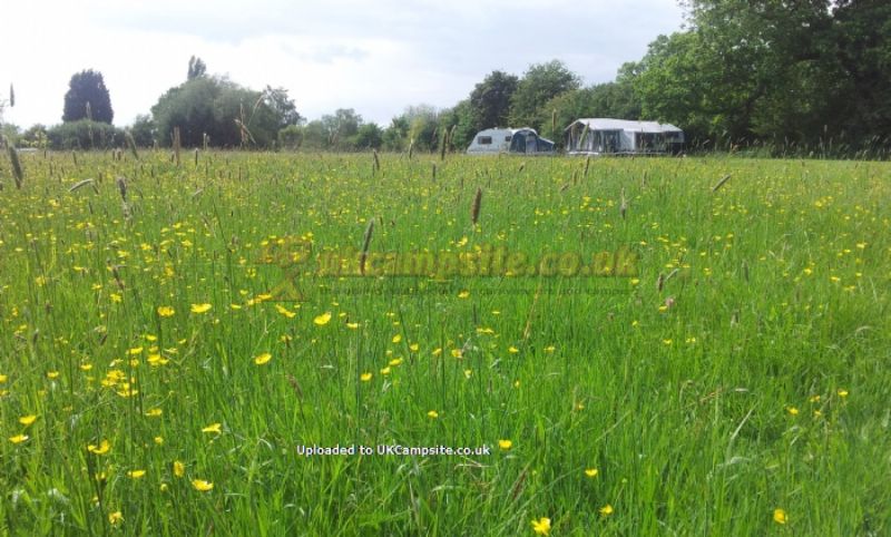 Newland Meadows Camping And Caravan Park