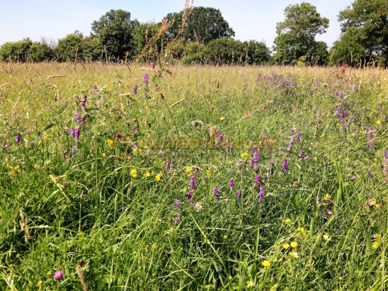 Newland Meadows Camping And Caravan Park
