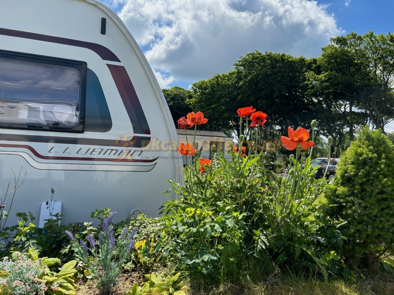 Island Lodge Caravan And Camping Site