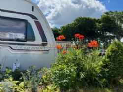 Island Lodge Caravan And Camping Site