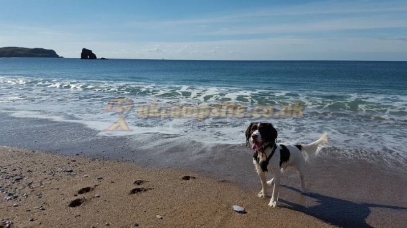 Island Lodge Caravan And Camping Site