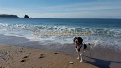 Island Lodge Caravan And Camping Site