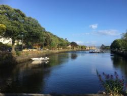 Island Lodge Caravan And Camping Site