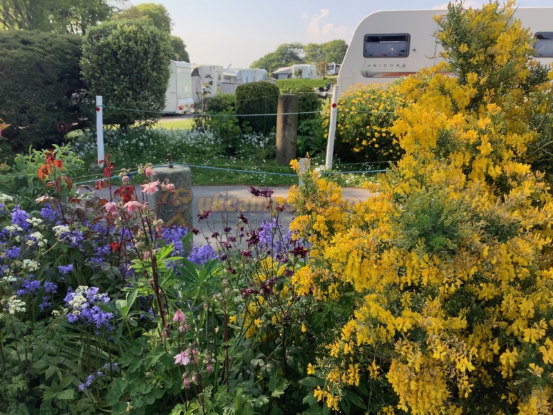 Island Lodge Caravan And Camping Site