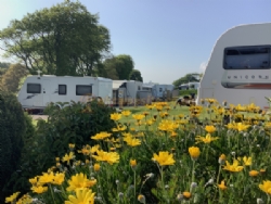 Island Lodge Caravan And Camping Site