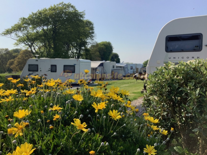 Island Lodge Caravan And Camping Site