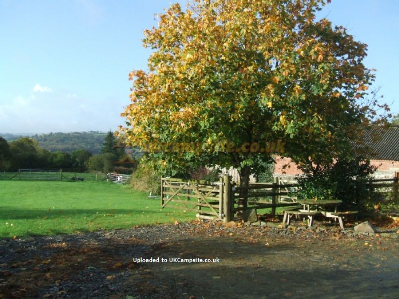 Tynffynnon Farm Certificated Site