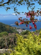 Lynmouth Holiday Retreat