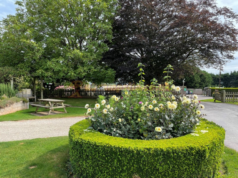 Ross Park Caravan Park