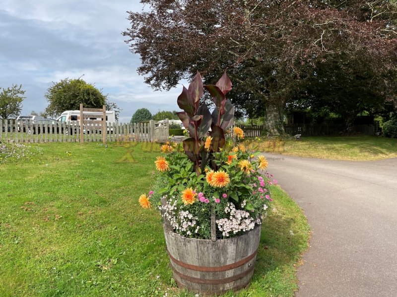 Ross Park Caravan Park
