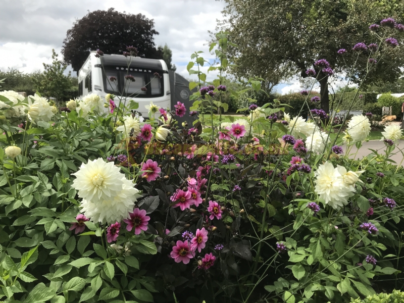 Ross Park Caravan Park