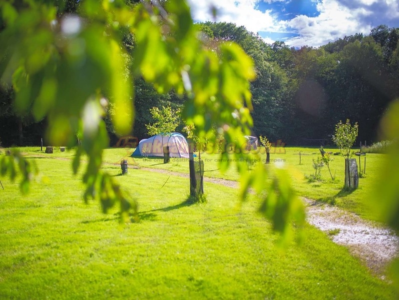 Camping La Clairiere Du Verbamont