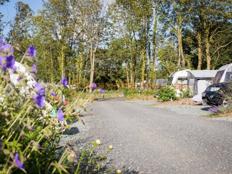The Buttles Caravan Park