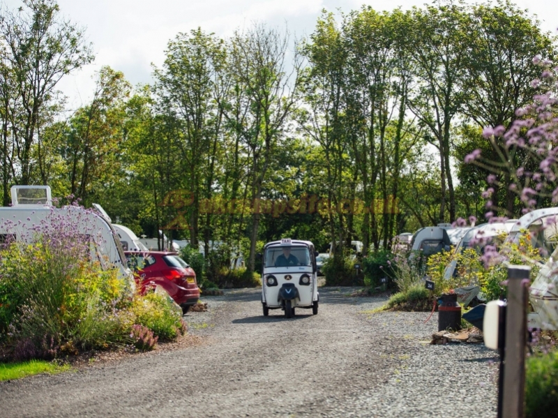 The Buttles Caravan Park