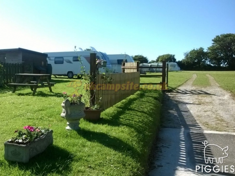 Piggies Camping Cornwall
