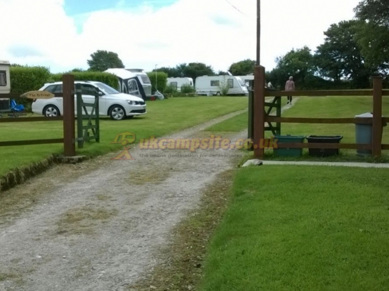 Piggies Camping Cornwall