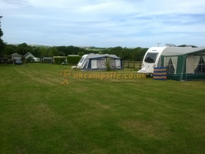 Piggies Camping Cornwall