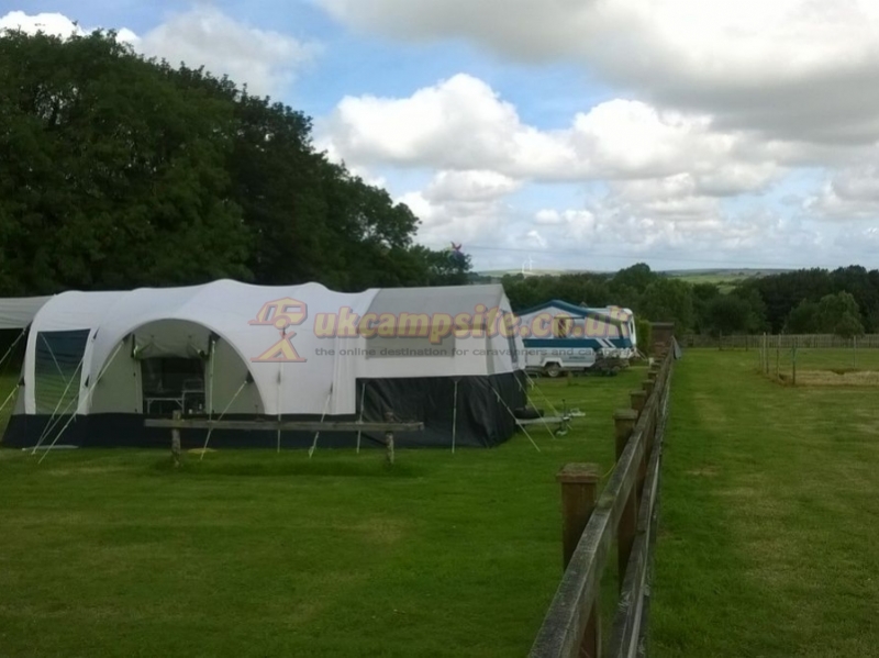Piggies Camping Cornwall