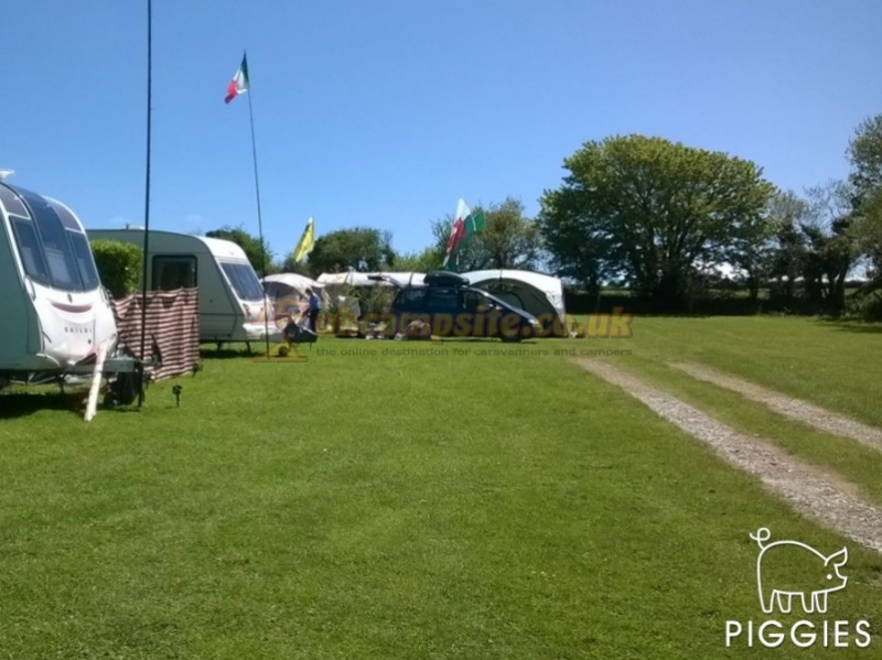 Piggies Camping Cornwall