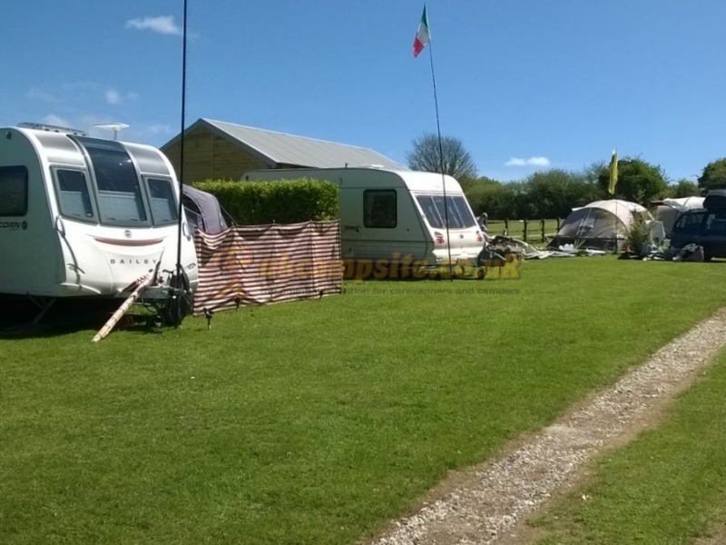 Piggies Camping Cornwall