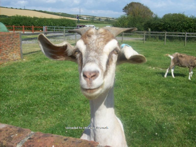 Bagwell Farm Touring Park