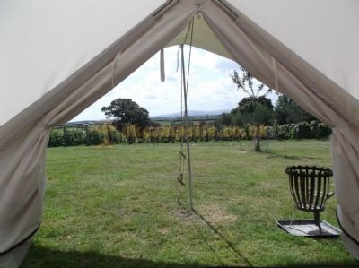 Ten Acres Vineyard