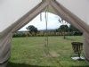 Ten Acres Vineyard