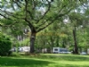 Camping De Bilos