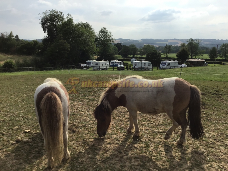 Ashspring Caravanning And Camping Site