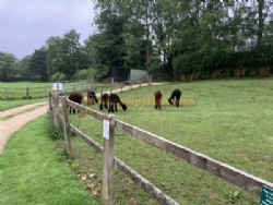 Ashspring Caravanning And Camping Site