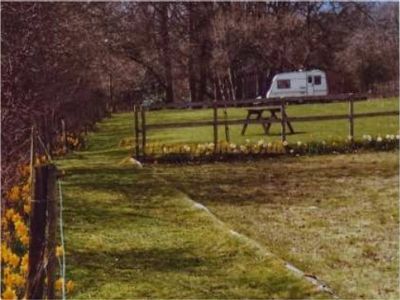 Honeysuckle Homestead Campsite