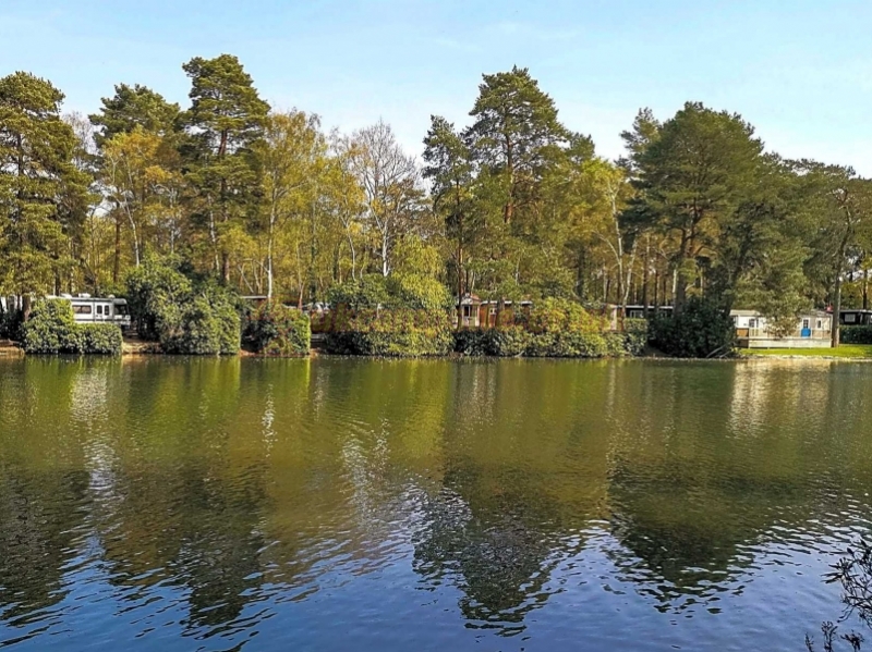 California Chalet And Touring Park