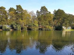 California Chalet And Touring Park