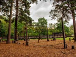California Chalet And Touring Park