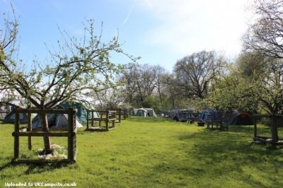 Embers Camping Beaulieu