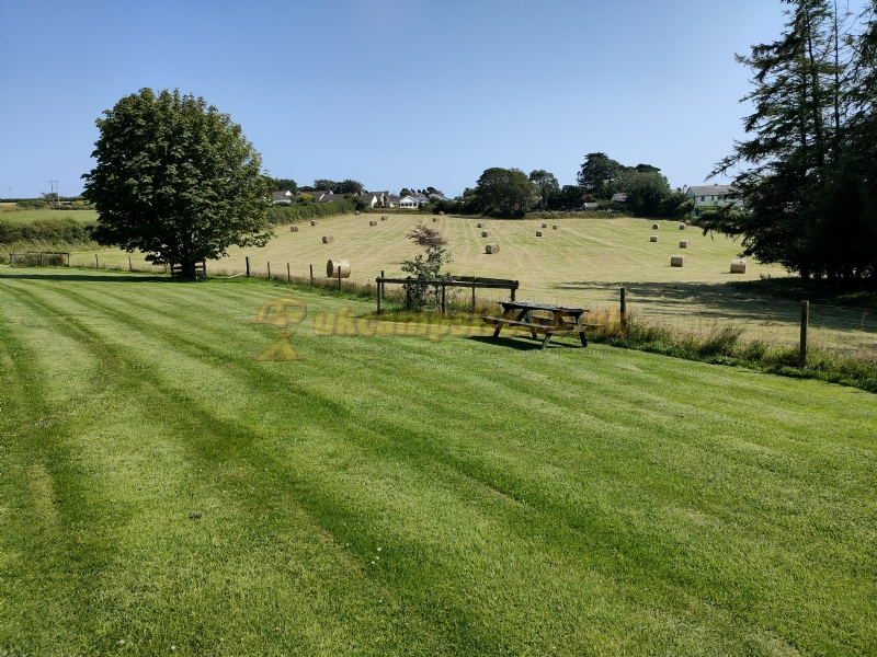 Hall Barton Organic Farm Camping And Shepherds Huts