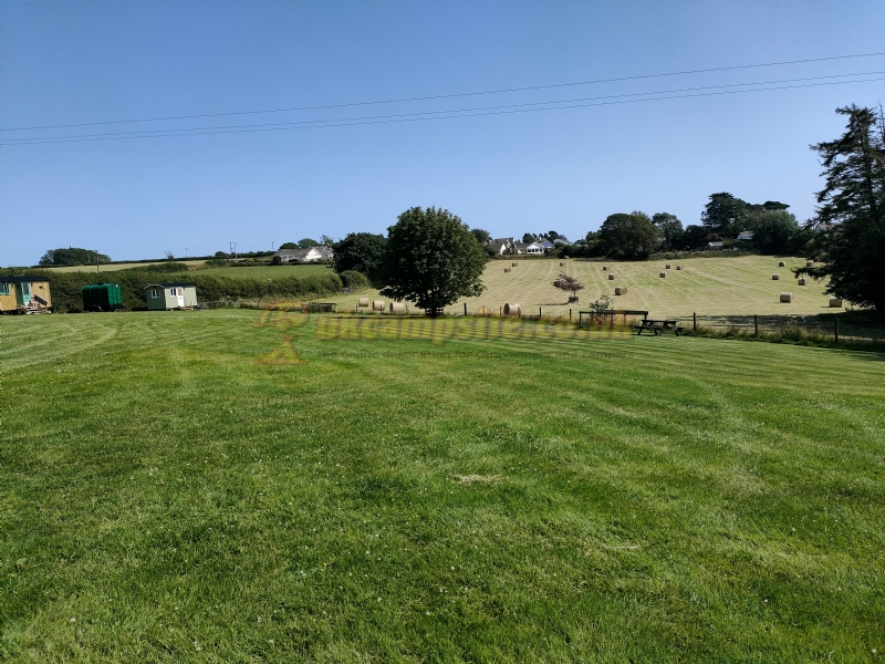 Hall Barton Organic Farm Camping And Shepherds Huts