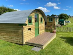 Hall Barton Organic Farm Camping And Shepherds Huts