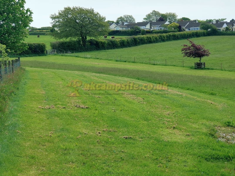 Hall Barton Organic Farm Camping And Shepherds Huts