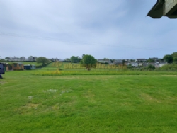 Hall Barton Organic Farm Camping And Shepherds Huts