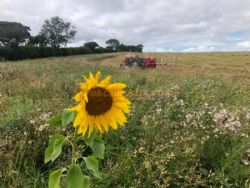 Hall Barton Organic Farm Camping And Shepherds Huts